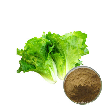 Factory supply nature pure wild lettuce powder